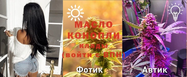 дмт Абаза