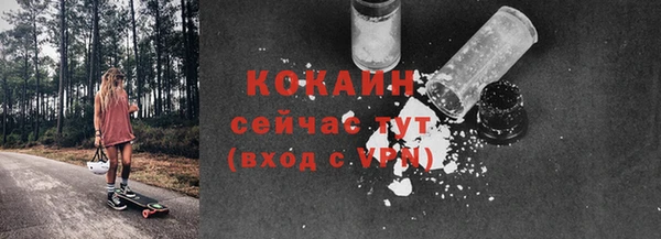 дмт Абаза