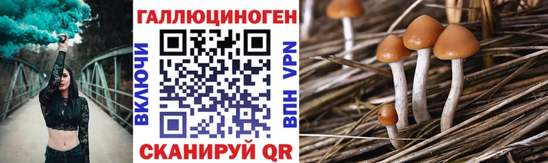 Псилоцибиновые грибы прущие грибы  Нахабино 