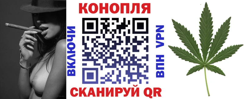 Конопля MAZAR  Нахабино 
